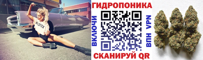 Купить где  Аргун  Бошки марихуана гибрид 